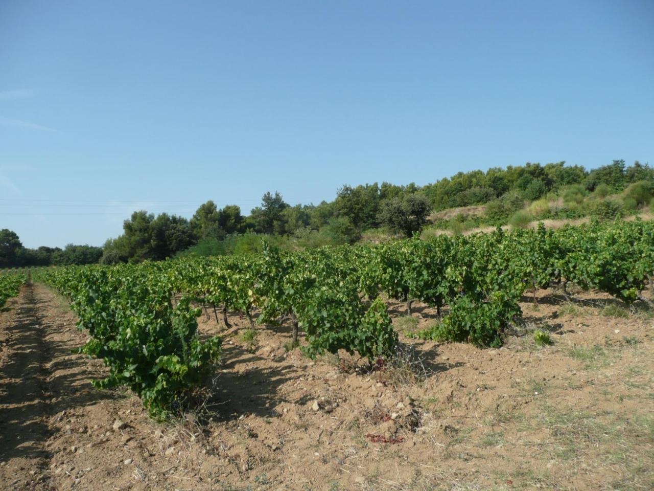 Appartement Du Serre De Boudre Buisson